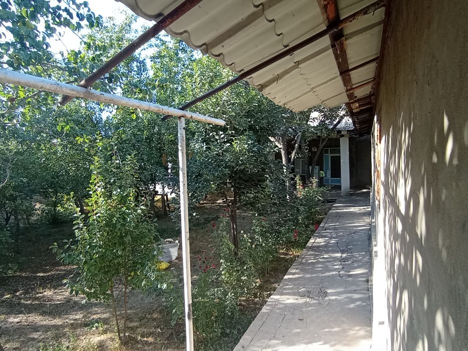 8 су́тих Участка сотилади йэрни нархида  бу́либ хам сотилади