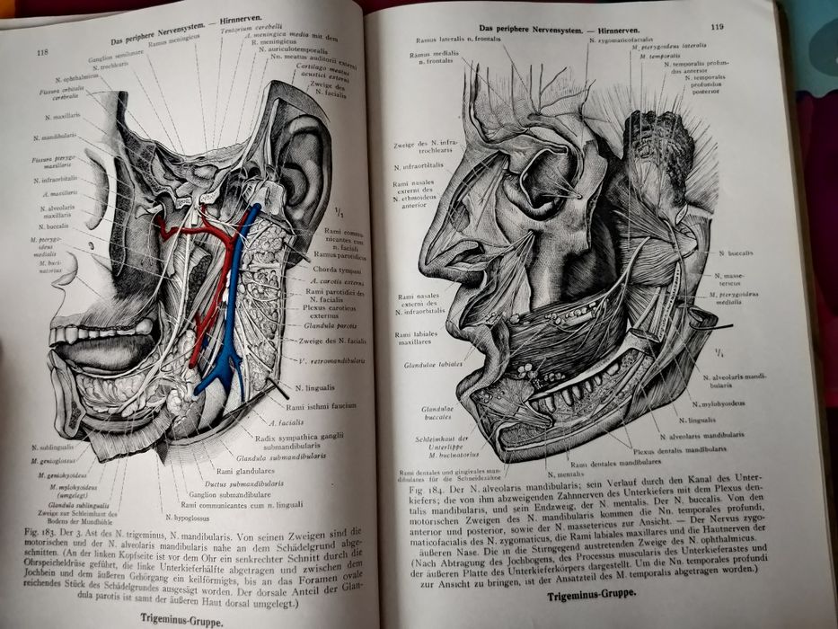 Немски анатомичен атлас книга 1947 Виена