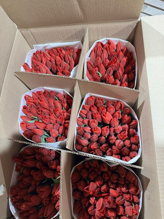 Тюльпаны букет букеты цветы цветов