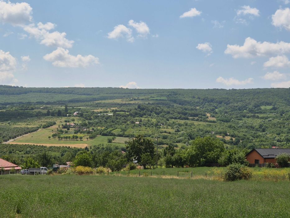 Teren intravilan Tomești-Goruni