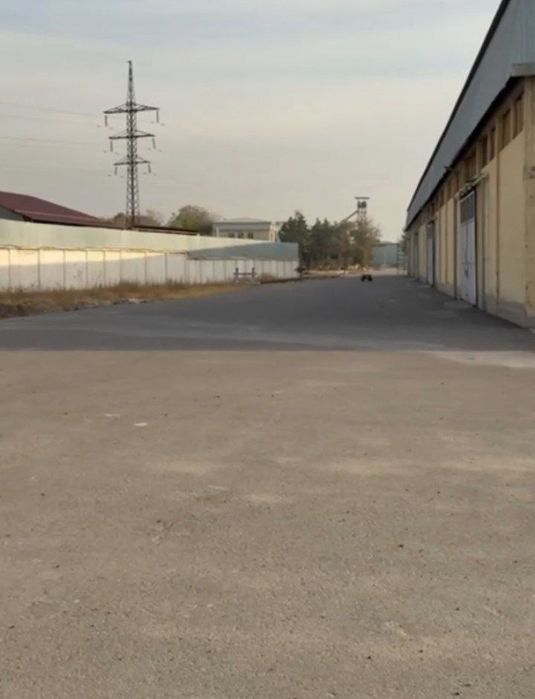 Продаётся мукомольный завод