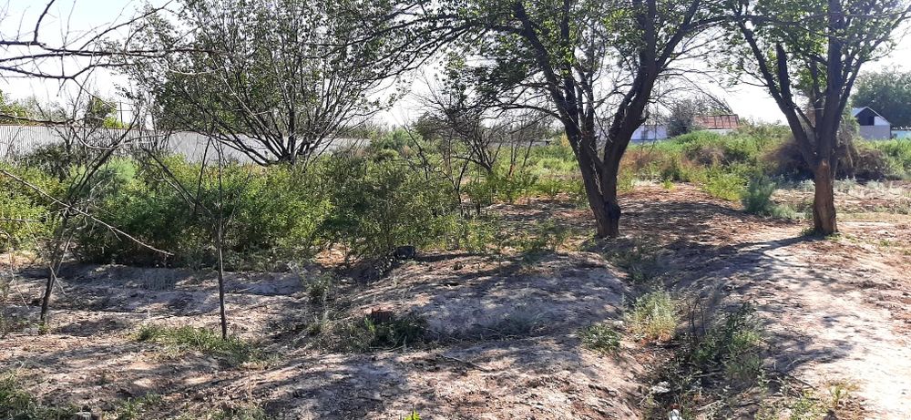 Срочно! Дача без домика