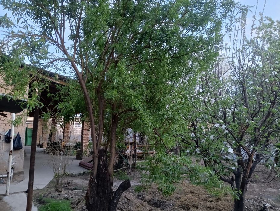 Срочна продам свой дом кадастр ест садик вмахале школа рядом