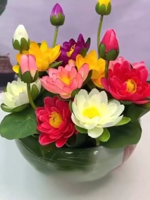 Ajoyib urug'dan yetiluvchi gul