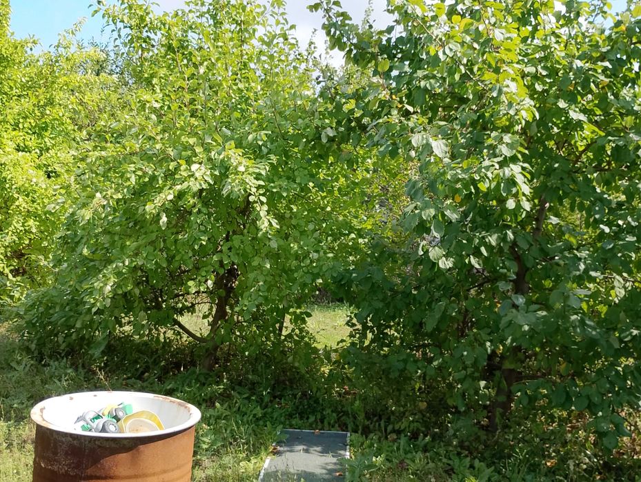 дача Сад Металлург 6 сот