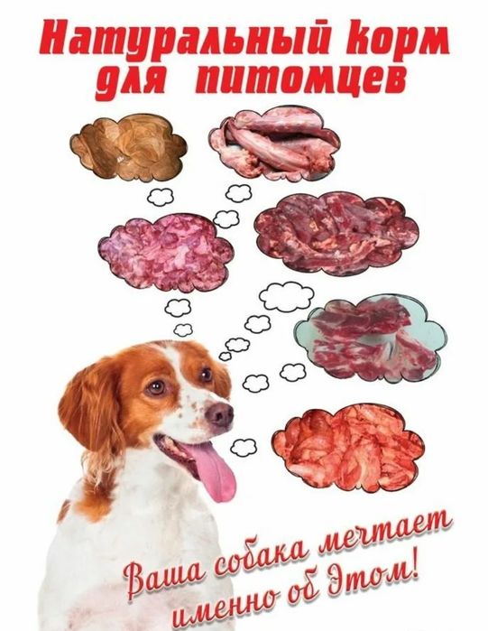 Натуралка фарш корм мясо для собак и кошек питомцев лакомства приют