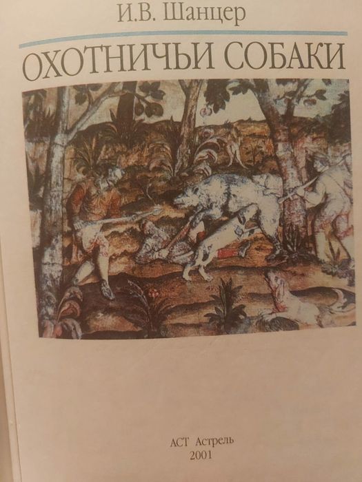 Охотничьи  собаки