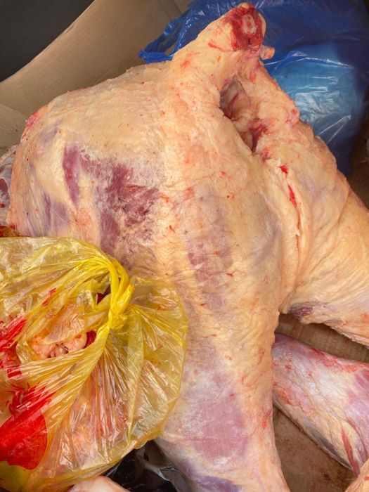 Соғымға тайынша сатылады