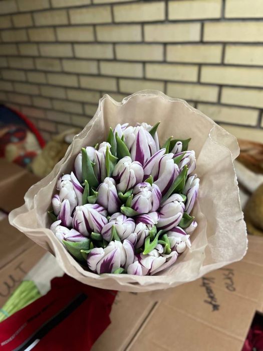 Тюльпаны из Беларуси оптом