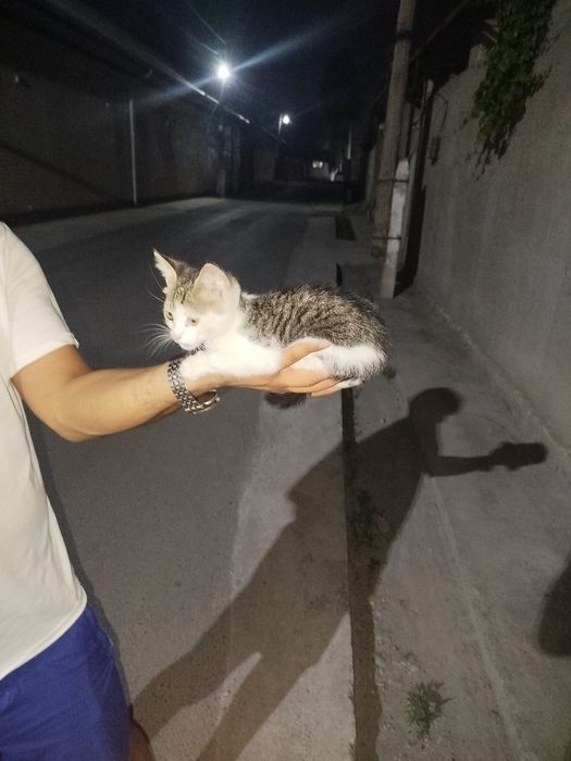 Tyumenda bir kecha-kunduzlik