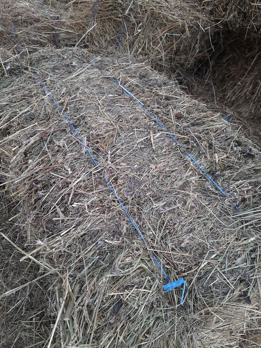 Vând baloți dreptunghiulari de Fân,Otavă și Amestec