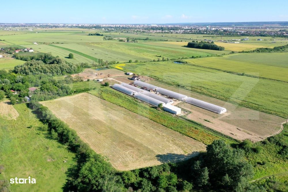 Teren EV si IV cu casa, 29.600 mp, utilitati si acces facil, Albesti