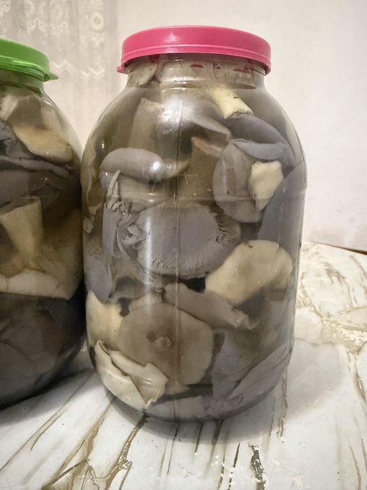 Продам мариновонве рядовку
