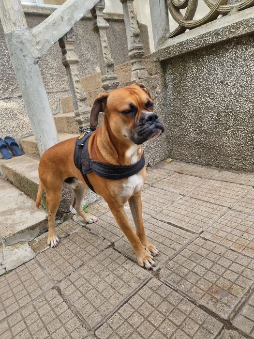 Арес на 4 г търси дама