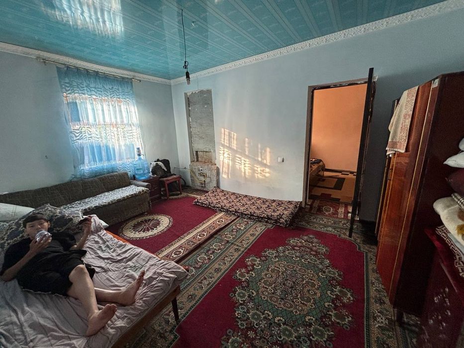 Срочна учаска сотилади қибрай майиский