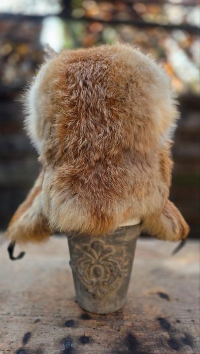 Caciula vulpe ruseasca