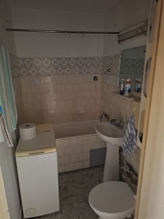 2 camere Pta Progresului zona verde