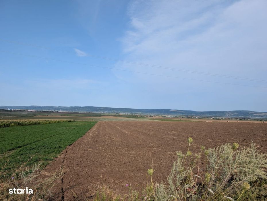 Sarata- langa Mun. Bacau- 4000 mp- oportunitate investitie