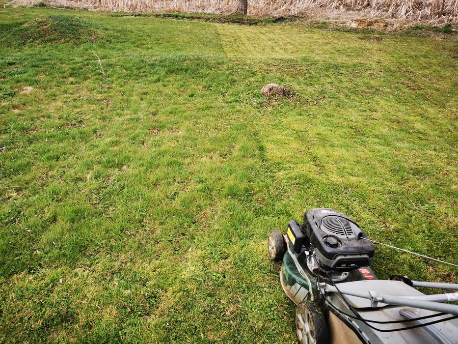 Подрязване на дървета и лозя,косене и чистене на дворове