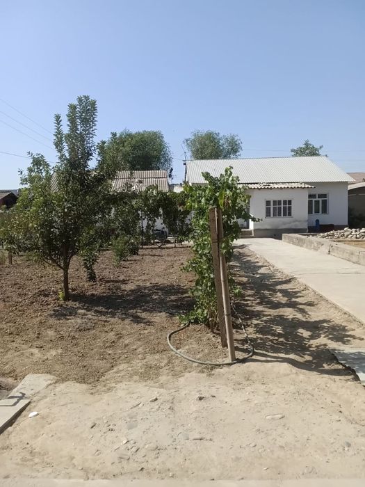 Qibray Do‘rmon mahallada uy qurish uchun zo‘r yer sotiladi