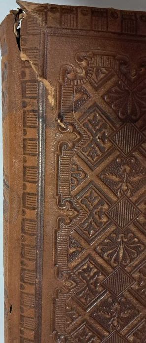 Album foto vechi cu poze cabinet Art Nouveau  1900