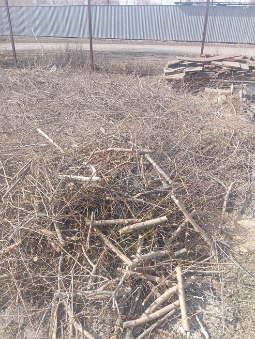 Отдам на дрова бесплатно