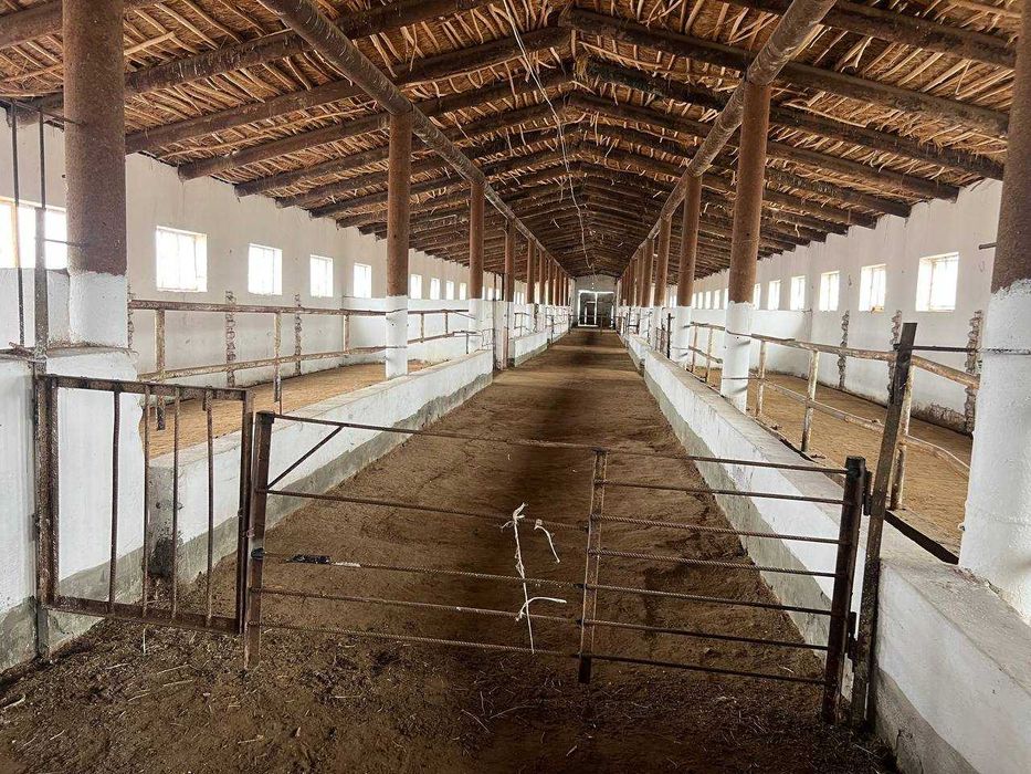 Сифатли қилиб қурилган ферма сотилади. Тулов хохлаган усулда