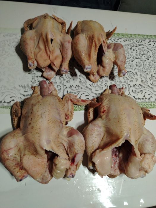 Продам кур домашние