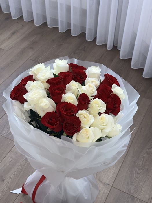 Свежие красивые розы