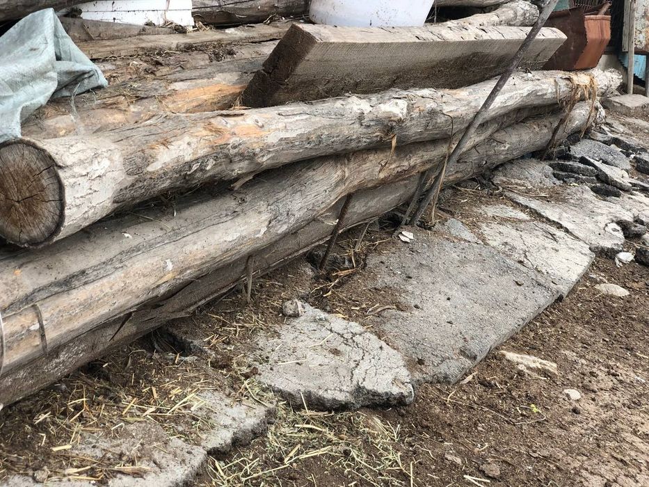 Terrak tosin  Õtkan yilgi