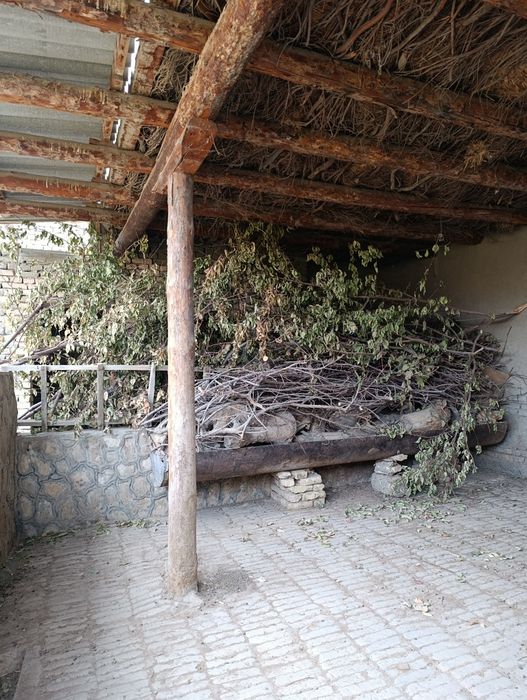 Утин. Сотилади. Келишамиз  нархига