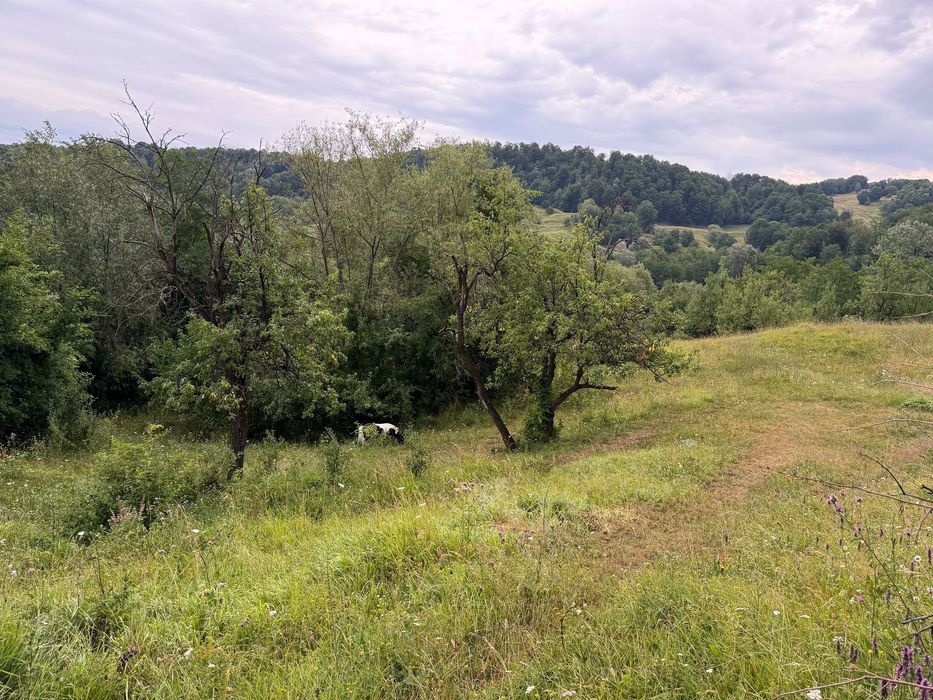 Teren intravilan in zona Valenii de Munte