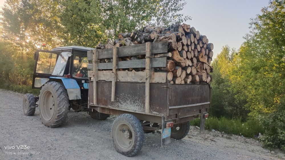 Продам дрова чурками и долгатём .