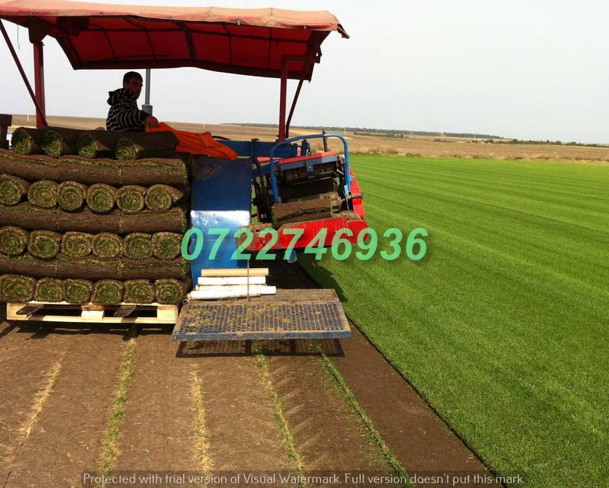 Gazon Premium Verde Intens cu Montaj Disponibil