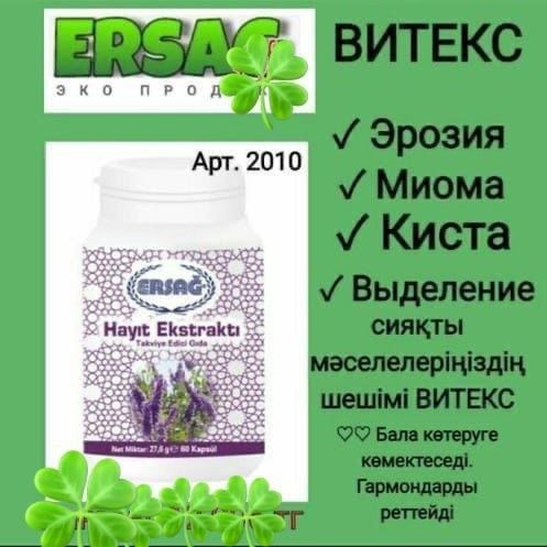 Ерсаг Турецкий компания