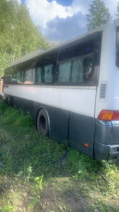 2 автобуса Hyndai