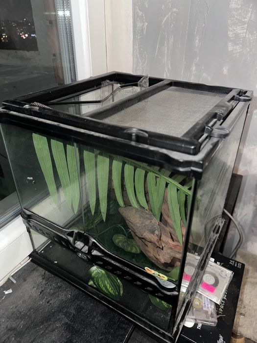 Терариум Exoterra 30х30х30 с аксесоари и хидрометър