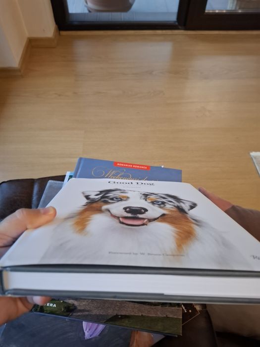 Album foto Good Dog: A Collection of Portraits
Author Randal Ford, For