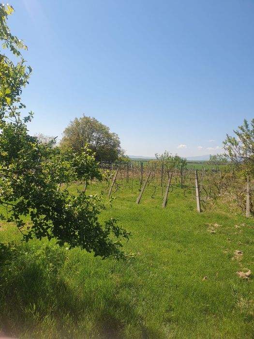 Vand teren intravilan