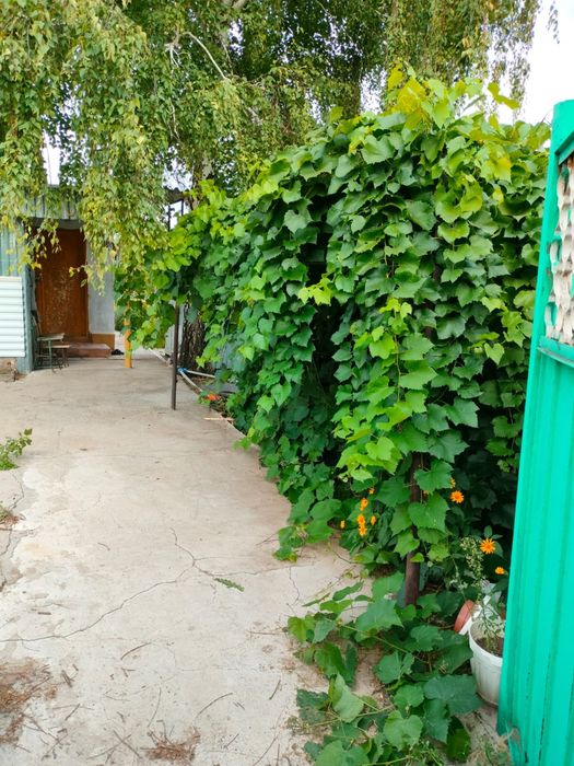 Продам дачу на СПП