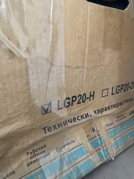 Мотопомпа для воды Leo LGP20-H