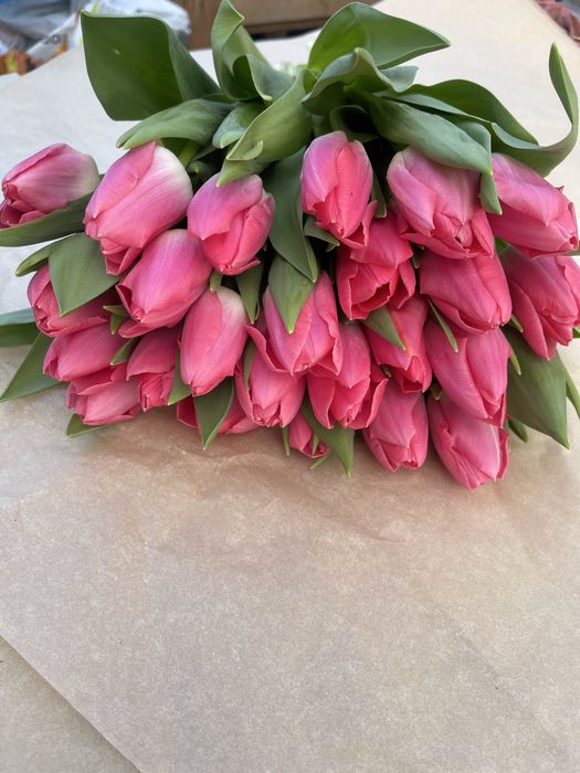 Тюльпаны Уральск