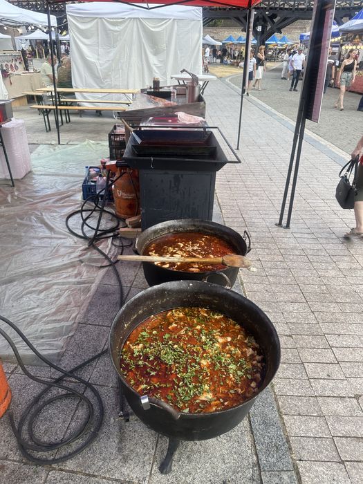 Animale facute la protap ! Ne deplasam in strainatate!