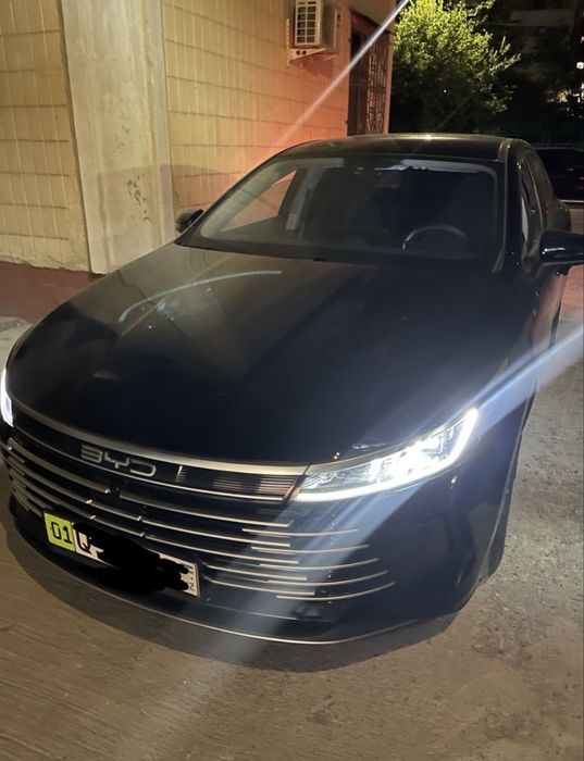 BYD Chazor 2024