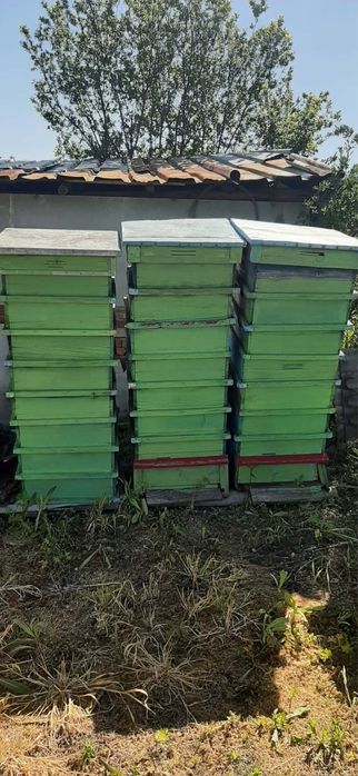 Кошери, магазини, капаци