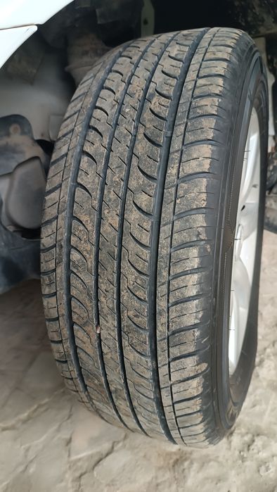 R15 saka diska balon