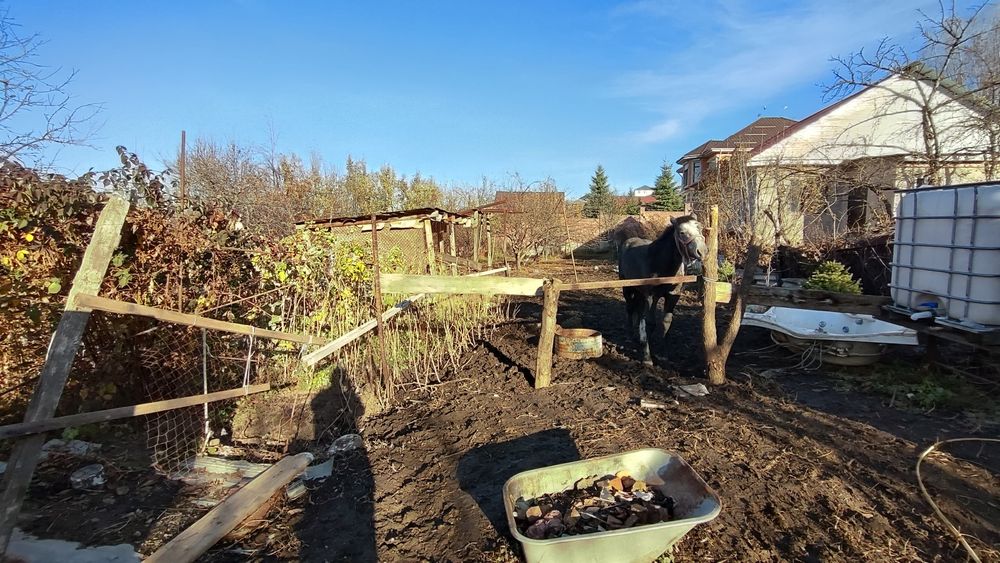 Продам дом с участком