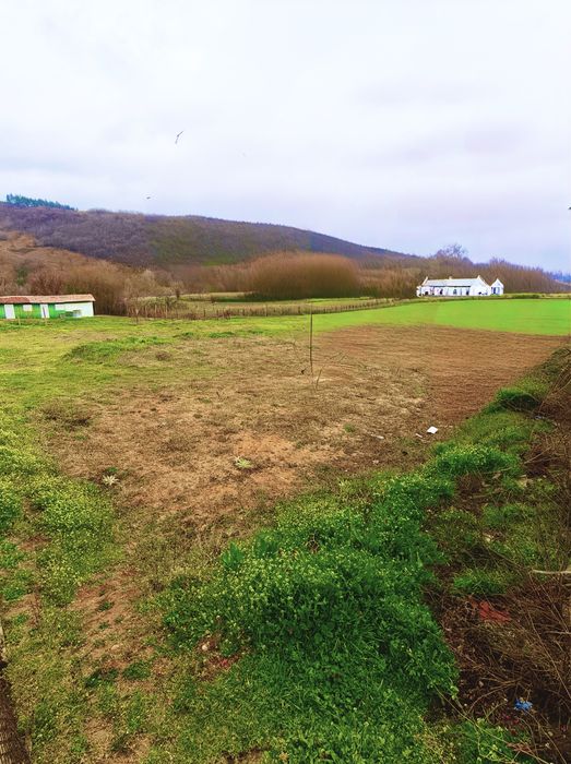 Продава се Парцел в Пазарджик, Руски - 870 кв.м за 7 €/кв.м - Снимка #4