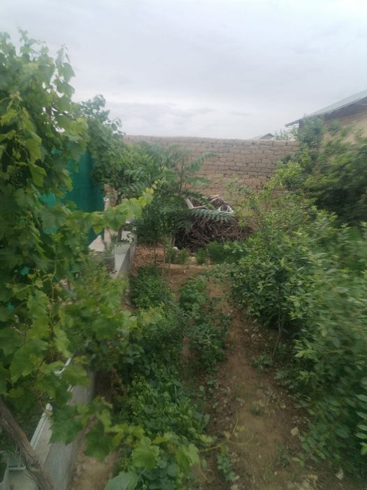 Dacha sotiladi yubileynida