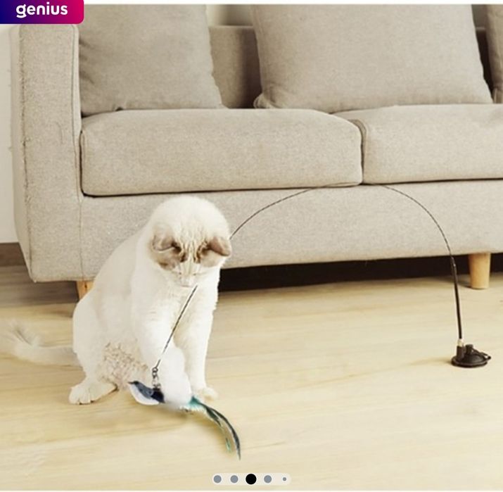 Аксесоари за вашето коте